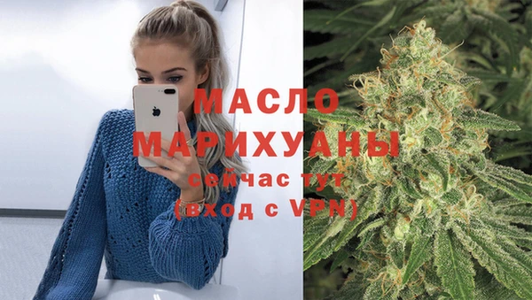 тгк Дмитров