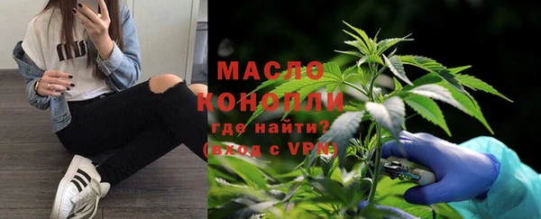 тгк Дмитров