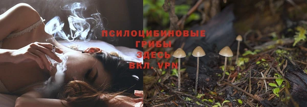тгк Дмитров