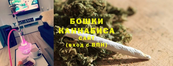 тгк Дмитров