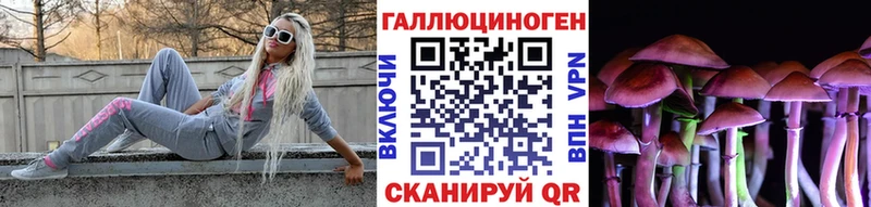 купить наркотик  Жердевка  Галлюциногенные грибы Psilocybe 