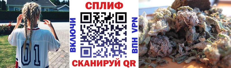 Бошки Шишки ГИДРОПОН  Жердевка 